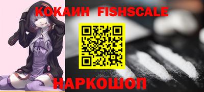 стаф Можга