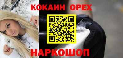 стаф Можга