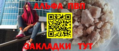 стаф Можга