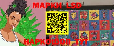 стаф Можга