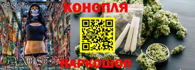 стаф Можга