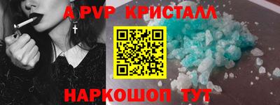 стаф Можга
