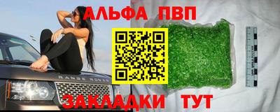 стаф Можга