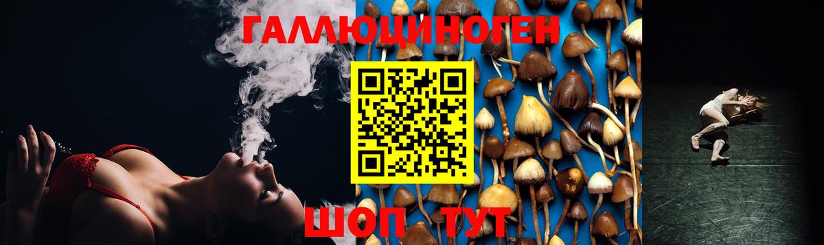 Галлюциногенные грибы Cubensis Чернушка